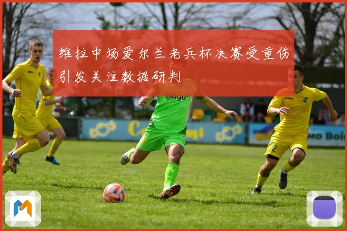 维拉中场爱尔兰老兵杯决赛受重伤引发关注数据研判