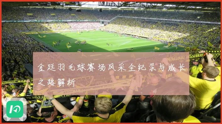 金廷羽毛球赛场风采全纪录与成长之路解析