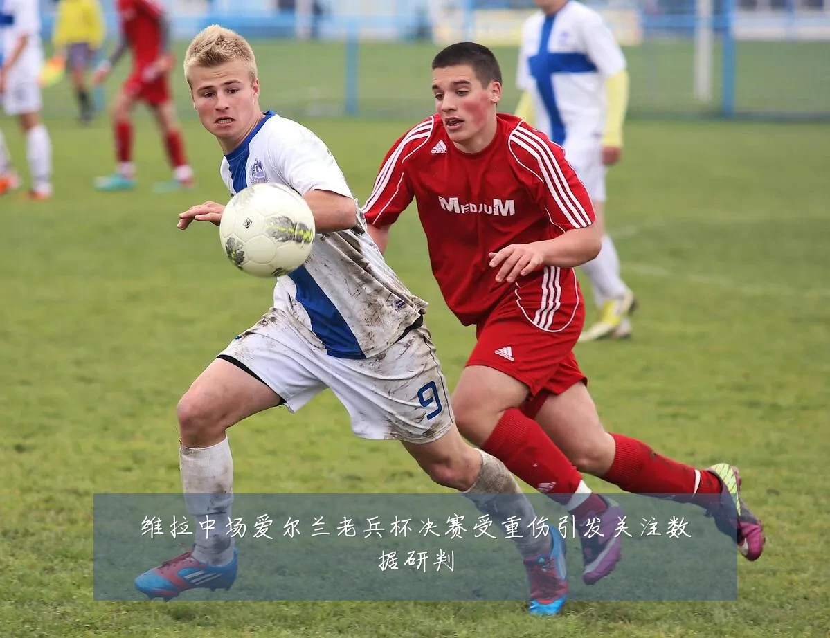 维拉中场爱尔兰老兵杯决赛受重伤引发关注数据研判