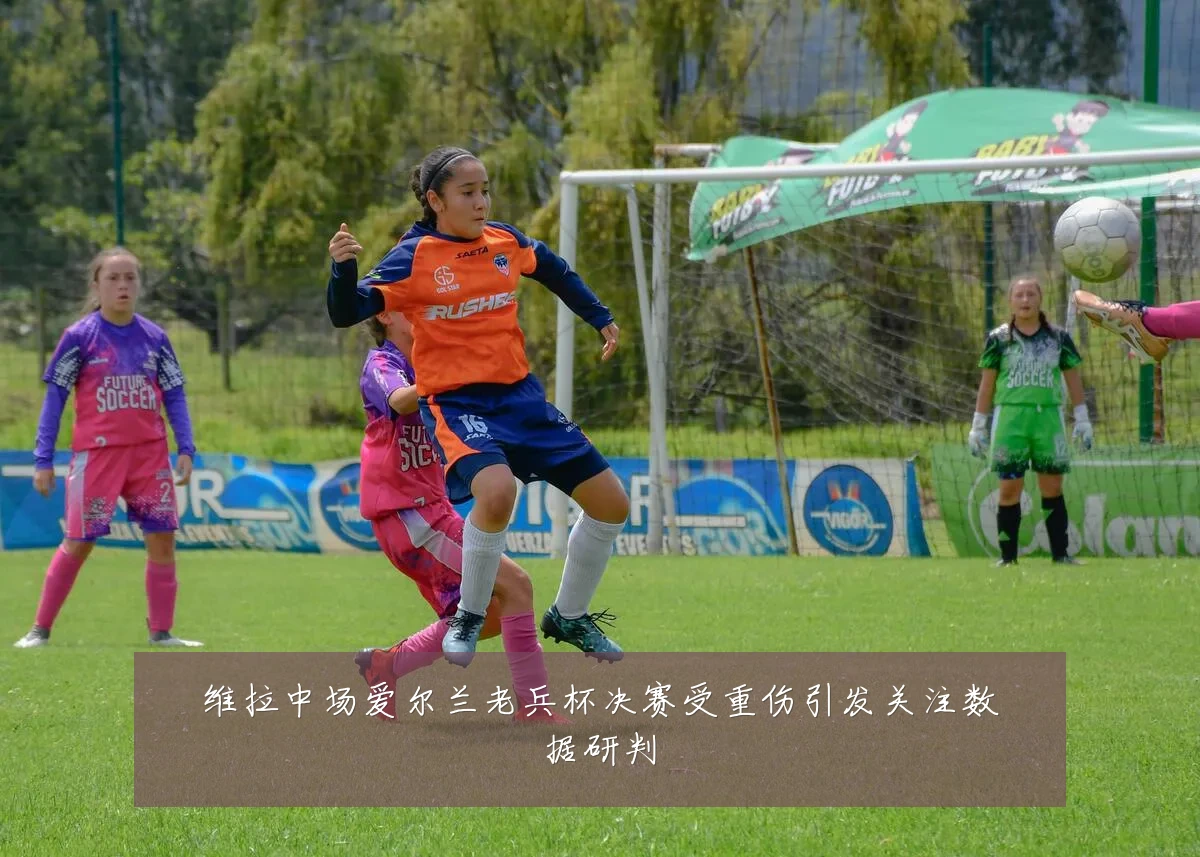 维拉中场爱尔兰老兵杯决赛受重伤引发关注数据研判